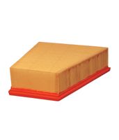 Filtr Powietrza Filtron Ap189/1 C22953