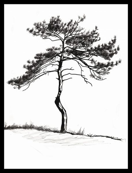 Plakat 30x40cm Samotna Sosna zdjęcie 2