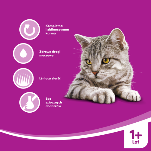 Whiskas pasztet z tuńczyk 400g na Arena.pl