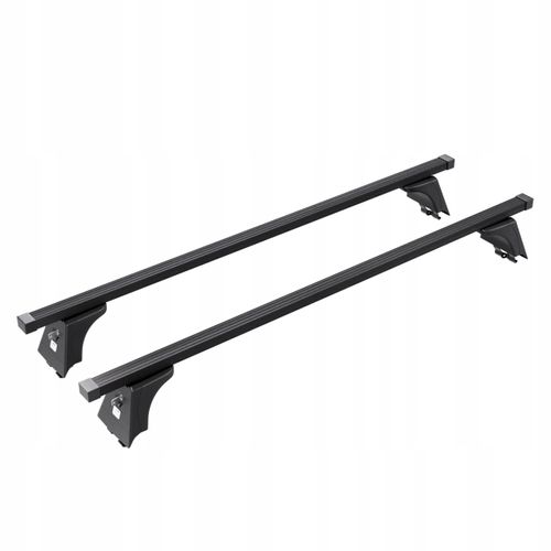 Bagażnik dachowy do Renault Scenic II (2003-2008r) na Arena.pl