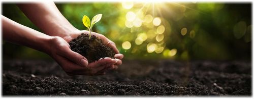 BIOVITA ZIEMIA UNIWERSALNA PODŁOŻE DO KWIATÓW Z NAWOZEM 80 L na Arena.pl