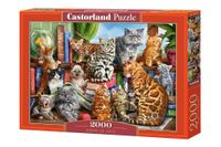Puzzle 2000 House of Cats CASTORLAND