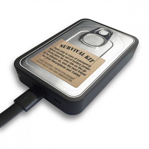 SMARTOOOLS Powerbank MC10 Sardynki, 10000mAh na Arena.pl