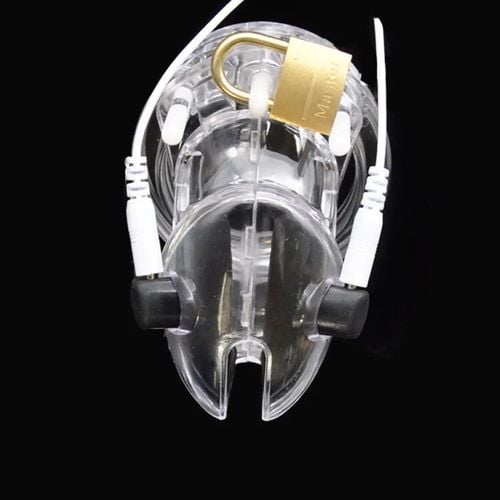 pas cnoty volt cage electro chastity cage clear brutus na Arena.pl