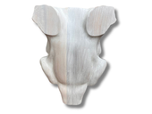 Czacha pod poroże jelenia imitacja czaszki pod trofeum myśliwskie leśniczy