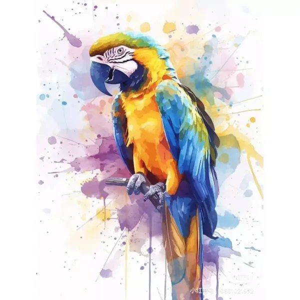 Malowanie po numerach 40x50cm Papuga zdjęcie 1