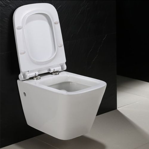 Misa WC Ryan Model Deski - ABS/Slim/ZM na Arena.pl