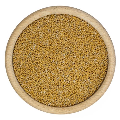 Gorczyca biała 1kg na Arena.pl