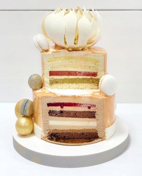 RANT OPASKA DO ŻELKI REGULOWANA DOROSIOWE RANTY 17-24 H1,4cm zdjęcie 5