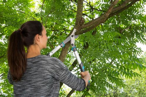 nożyce do gałęzi ec 600b - hg-12006-20 na Arena.pl