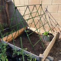 STELAŻ Podpora siatka do ogórków dla pomidorów 150cm TYCZKA PALIK PODPORA