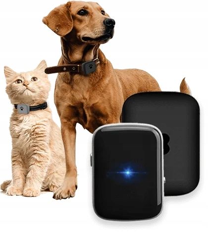 Bezpieczne Zwierzę LOKALIZATOR GPS DLA PSA KOTA APLIKACJA 1 miesiąc na Arena.pl