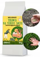 TRAWA NASIONA Na tereny suche Odporna Samozageszczająca Trawnik 5kg 200m2