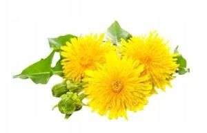 BERBERYNA HCL niski poziom cukru glukozy - odchudzanie - Amix Berberine HCL na Arena.pl