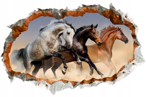 Naklejka efekt 3D czerwone maki duży wybór wzorów na Arena.pl