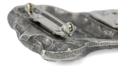 Cane Corso - klips - 2559 na Arena.pl