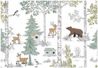 Fototapeta Na Flizelinie Dla Dzieci Las 250x175