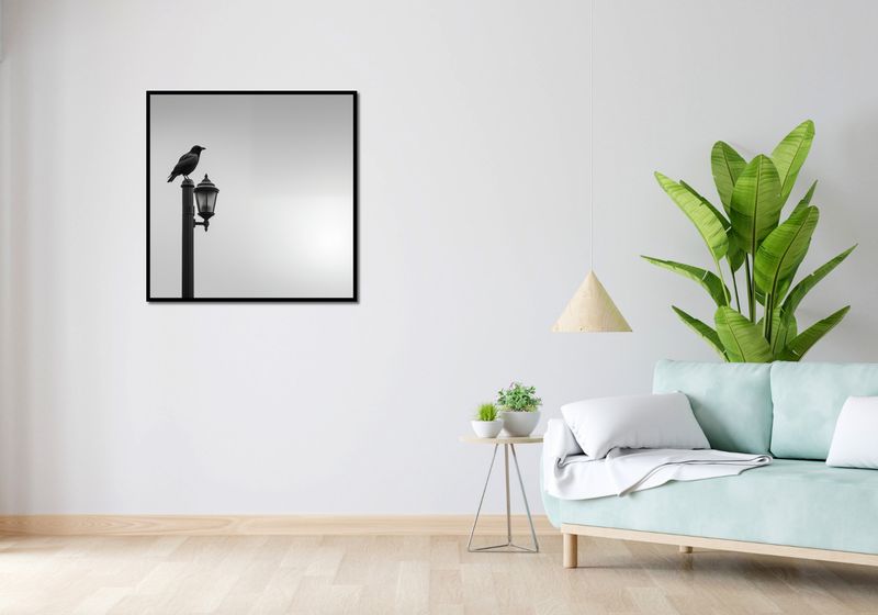 Plakat 80x80cm Samotny Postój Kruka zdjęcie 4