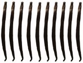WANILIA LASKI 10 SZT 10-14 cm Laska Wanilii JAKOŚĆ 1 ŚWIEŻE, WILGOTNE LASKI