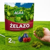 NAWÓZ SIARCZAN ŻELAZA NA MECH W TRAWNIKU DO ZAKWASZANIA HORTENSJI AZALI