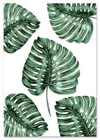 Plakat monstera pattern 40x50 cm