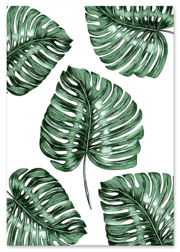 Plakat monstera pattern 40x50 cm na Arena.pl