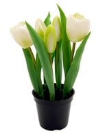 TULIPANY SILIKONOWE W DONICZCE TULIPAN GUMOWY BIAŁY 5szt