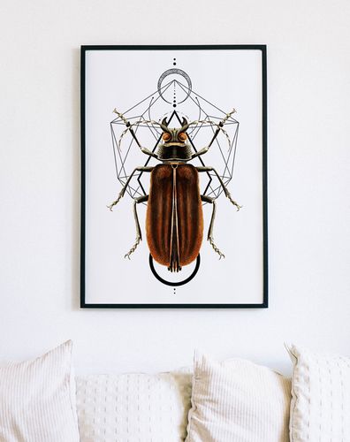 Plakat robaki owady geometria 70x100 cm na Arena.pl