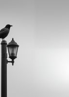 product-compare-59371668