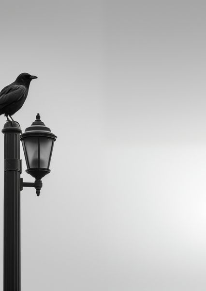 Plakat 64x90cm Samotny Postój Kruka zdjęcie 1