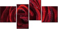 140CM 70 OBRAZ BORDOWA RÓŻA ŚCIENNY