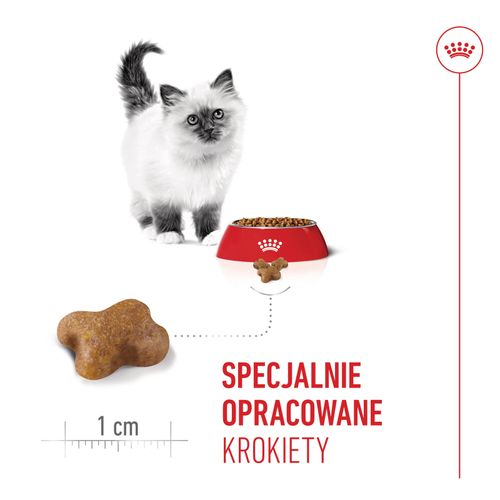 royal canin kitten 400g na Arena.pl
