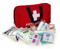 apteczka z wyposażeniem, torba medyczna r.