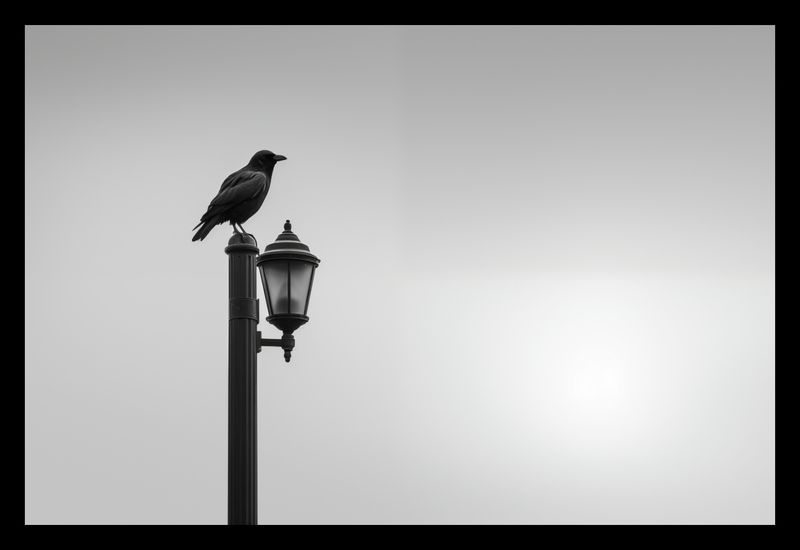 Plakat 30x20cm Samotny Postój Kruka zdjęcie 2