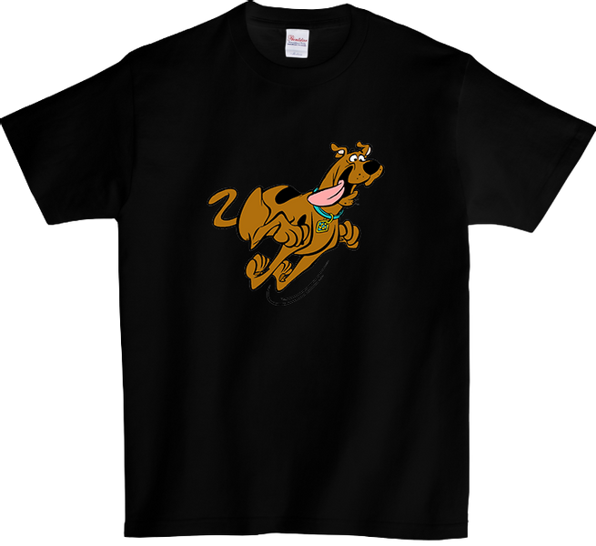 Koszulka T-shirt Scoobie Doo zdjęcie 1