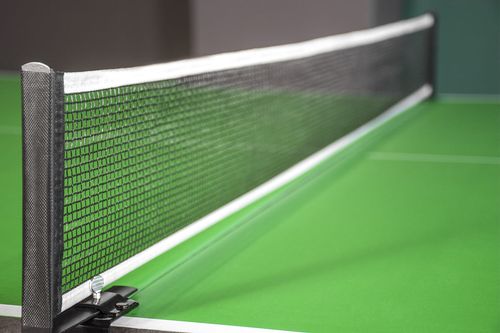 Stół do ping ponga zielony na Arena.pl