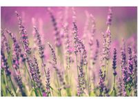 product-compare-58694399