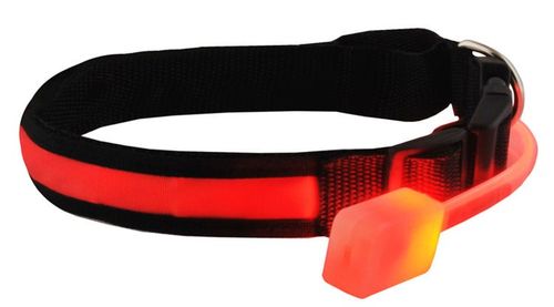 Obroża LED czerwona - S na Arena.pl