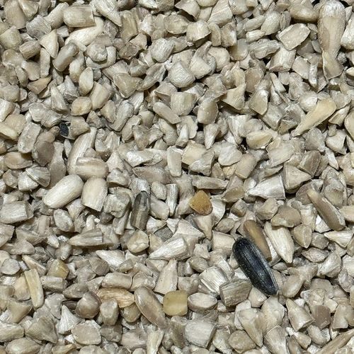 5kg SŁONECZNIK ŁUSKANY 99% ziarno karma zimowa dla ptaków CHAMPI na Arena.pl