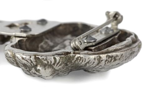 Border Terier - klips - 264 na Arena.pl