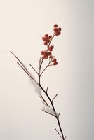 Plakat 68x101cm Subtelna Siła Zimy