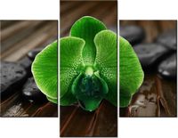 70 90CM OBRAZ 3 ELEM LIMONKOWY STORCZYK ŚCIENNY PŁÓTNO