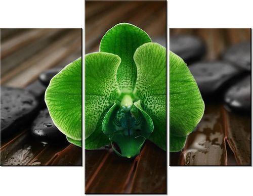 70 90CM OBRAZ 3 ELEM LIMONKOWY STORCZYK ŚCIENNY PŁÓTNO na Arena.pl