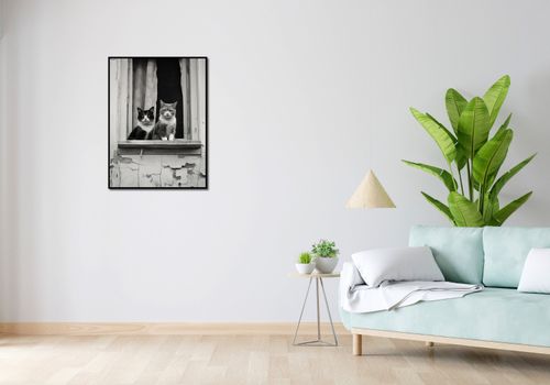 Plakat 60x80cm Para w Oknie na Arena.pl