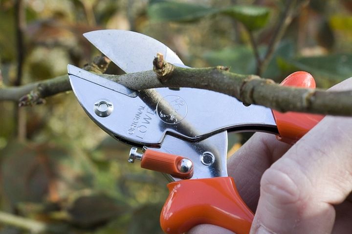 Sekator LOWE 5.107 - ergonomiczna rączka zdjęcie 7