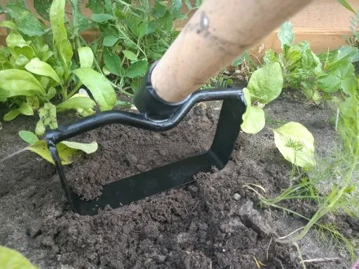 Motyka do chwastów duża zdjęcie 1