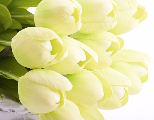 Tulipan 55cm zielony na Arena.pl