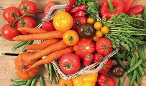 WOKAS KOMPOST OGRODNICZY 50L Użyźnia Ziemię WOKAS na Arena.pl