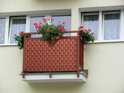 grafit \ 47,5mm na Arena.pl