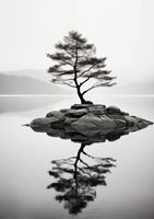 Plakat 59,4x84,1cm Samotne Drzewo